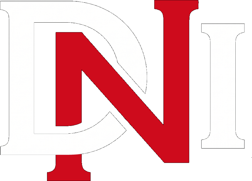 Daily News Insights Logo